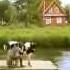 Творог 101 зерно Рекламный ролик