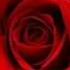 DJ Antoine Vs Mad Mark 2k17 La Vie En Rose Official Audio