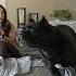 CRIME FACT Homes With Dogs Are Less Likely To Be Victimized Dog Canecorso Shorts Crime