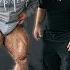 2 Weeks Out From The 2024 Arnold Classic FST 7 Legs Hadi Choopan X Hany Rambod