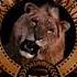 Metro Goldwyn Mayer Original Classic Logo High Tone