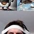 Sigma Boy Vs All Brainrot Animals Memes Brainrot