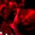 Patrick Podage Hold You Noir Music