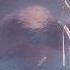 ALAN STIVELL Suite Sudarmoricaine A L Olympia 1972