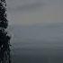 EVEROUS MAKE IT HURT SO IT HEALS U DID HURT ME WHERE LIGHT ONCE DIED