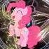 MLP Pinkie Pie Apple Jack Fusion Shorts