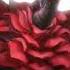 Black Rose Dragon Malice Of Thorns
