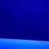 New Line Cinema Immortal 2000