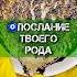 Вам просят передать важное послание Гадание на кофе