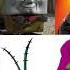Defeats Of My Favourite Villains Part 66