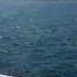 Rhode Island Lighthouse Cruise
