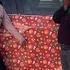GIFT WRAPPING MY MOMS CAR PRANK Vlogmas Day 19