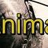 02 Pearl Jam Vs Animal Instrumental
