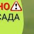 Лучшее средство от кротов Как избавится от кротов на участке