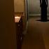 This Apartment Is Haunted