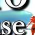 Afro House Afro Mix DJ SET Vales Hit House Music