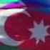 Şehidler ölmez Veten Bölünmez