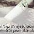Daha Bezmiş Daha Küskün