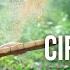 5 Ciri Khas Wanita Sunda Yang Bikin Pria Jatuh Hati