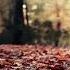 Shahzoda Feat Akcent All Alone Beautiful Song