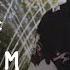 Sham Jam Live Chinatown Melodic House Indie Dance
