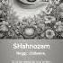 SHahnozam Music Cover Abdurahmon Musikant