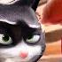StarDog And TurboCat Coffin Dance Song COVER