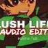 LUSH LIFE EDIT AUDIO