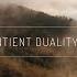 Lazarus Moment X Phelian Sentient Duality Out Now