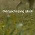Bo Rilarga Yuborib Qo Yamiz Wolf Facts Kino Prey