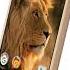 Vertex Impress Lion 3g Dual Cam Default Ringtone
