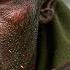 Reveille Full Hollywood Action Movie 2024 Action War Drama WW2