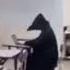 Plague Doctor No Cough Meme