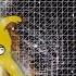 The Best Simpsons Intro Is About Losing Everything You Love