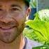 Growing Lettuce You Re Doing It WRONG 3 Tips To Grow TONS Of Lettuce All Year Long In Any Climate