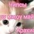 Оу ми оу май