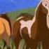 Spirit Cavallo Selvaggio Moments