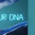 KASKADEUR Ex Stonehenge Part Of Your DNA Official Audio
