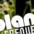 Remember Original Mix