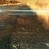 American Graffiti 1973 FILMING LOCATION 40th Anniversary