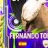 We Spent EVERYTHING On THIS Player FC Mobile Pitch Beats