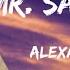 Alexandra Stan Mr Saxobeat Lyrics