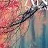 Best Music By Anas Otman Edward Maya Opera 2017 Edward Maya Official V720P