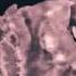 Halsey Colors Stripped Instrumental