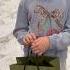 The Coolest Gucci Bag Ever Kcstauffer Nishaandfam Garzacrew Citygirlgonemom Milaandemma