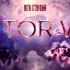 Doctor Who 2018 Series 11 Opening Theme W TWWFTE Bassline Sting