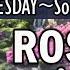 TUESDAY Rosary Chaplet SORROWFUL Mysteries FEAST St Augustine Day 6 Visitation NOVENA MAY 27