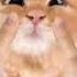 Oh My Little Baby Boy Slowed Ib Tiktok And Havuky