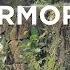 Forevermore Juris Music Video