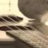 Bird Playing Guitar To Be Continued Jojo Meme